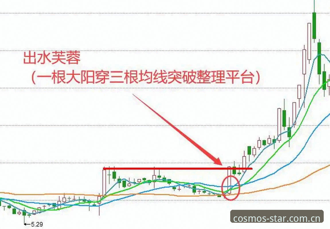 揭秘无界宇宙探索：从星空平台新手到选股高手的完整路径