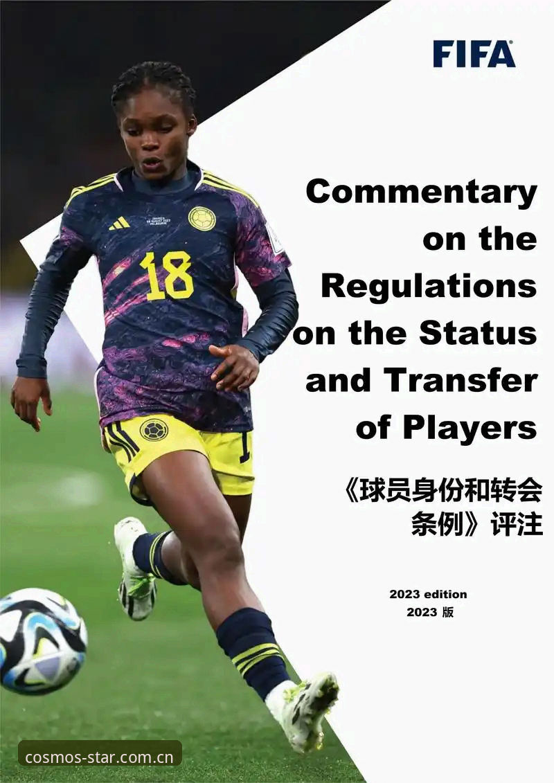 皇家社会后防补强计划解读：从迪奥戈·莱特转会看德甲球员价值评估指南